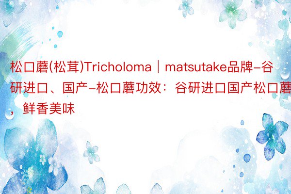 松口蘑(松茸)Tricholoma│matsutake品牌-谷研进口、国产-松口蘑功效：谷研进口国产松口蘑，鲜香美味